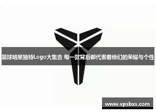 篮球明星独特Logo大集合 每一款背后都代表着他们的荣耀与个性